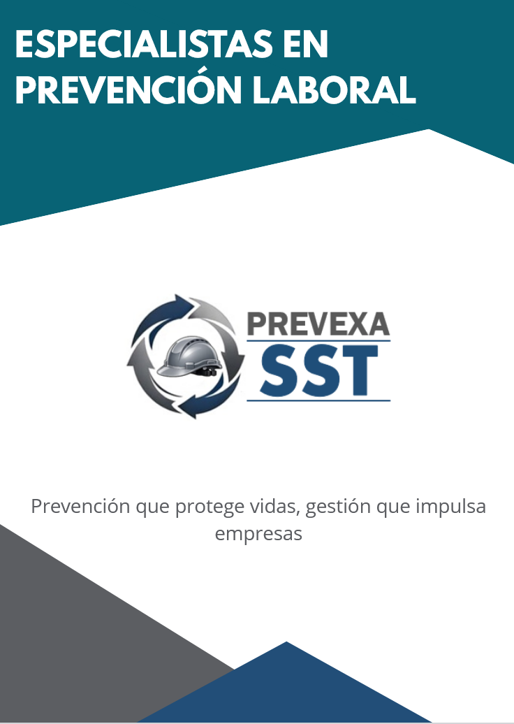 Vista previa del brochure